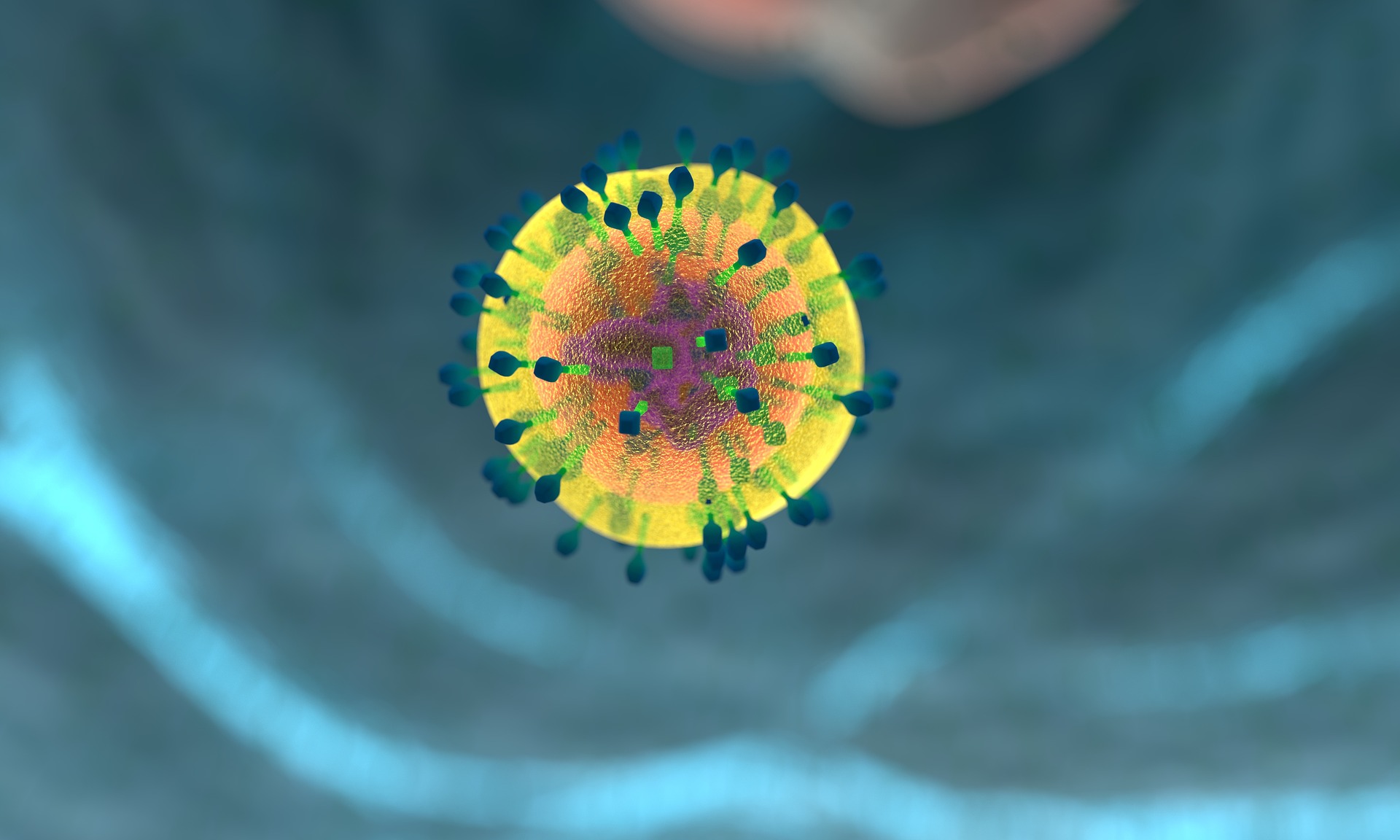 Enigmatic T Cells Potentially the New Type of Element to Fight Coronavirus