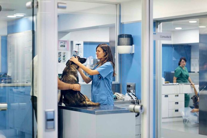 Significant benefits of Veterinary Relief Services